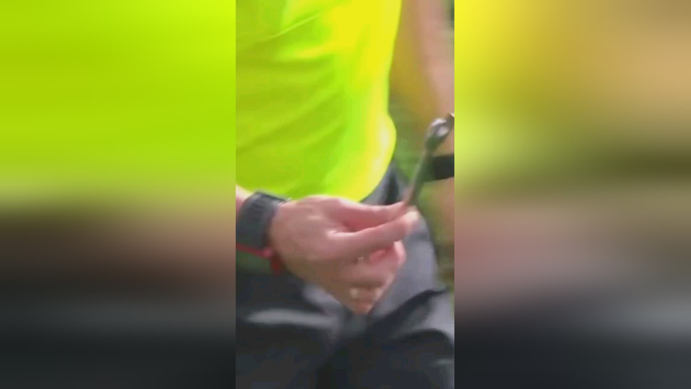样的举动